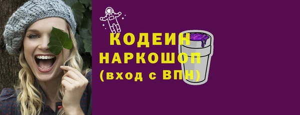 дурь Сатка