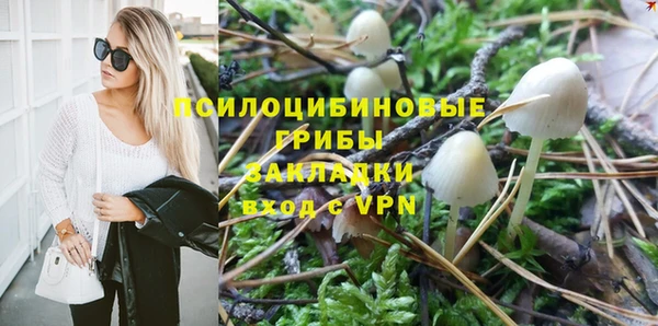 соль ск Верхний Тагил