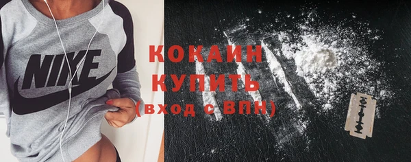 дурь Сатка