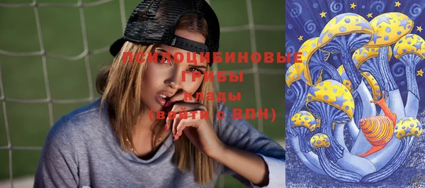 соль ск Верхний Тагил
