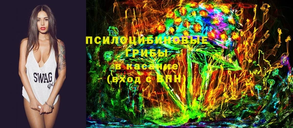тгк Верея