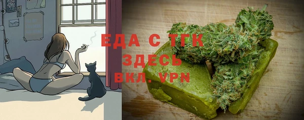 дурь Сатка